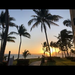 Meet your Posher, Joyce